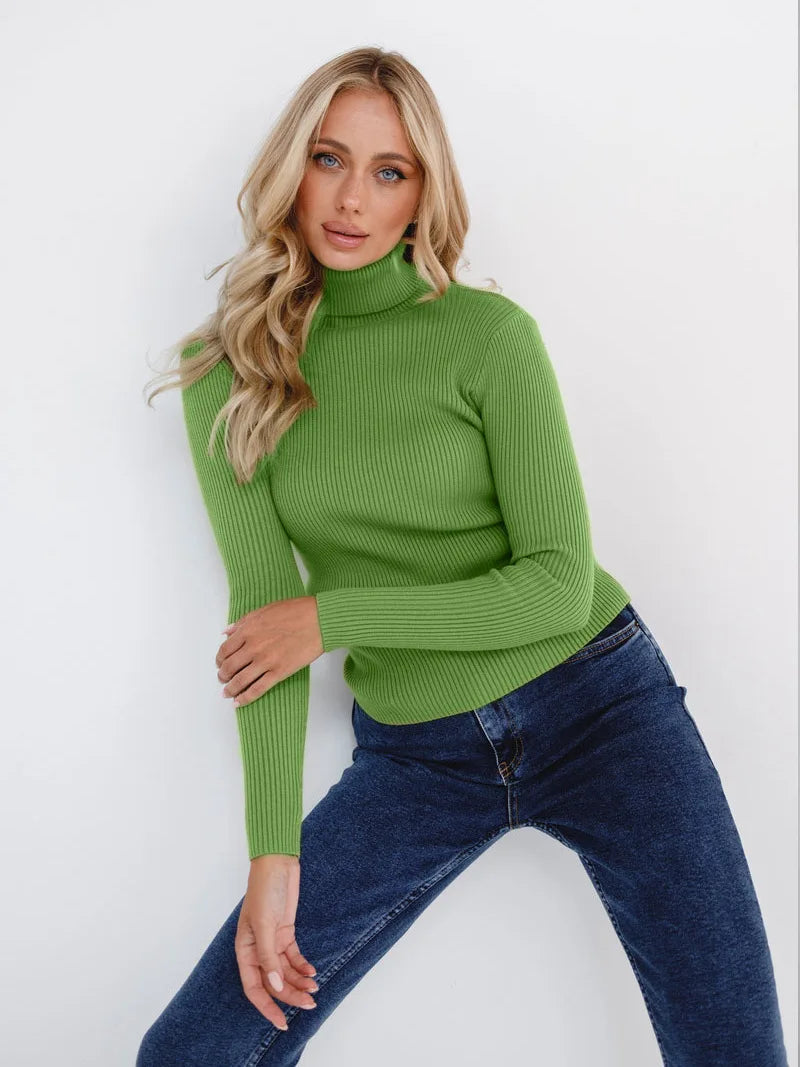 Slim Fit Turtleneck Sweater