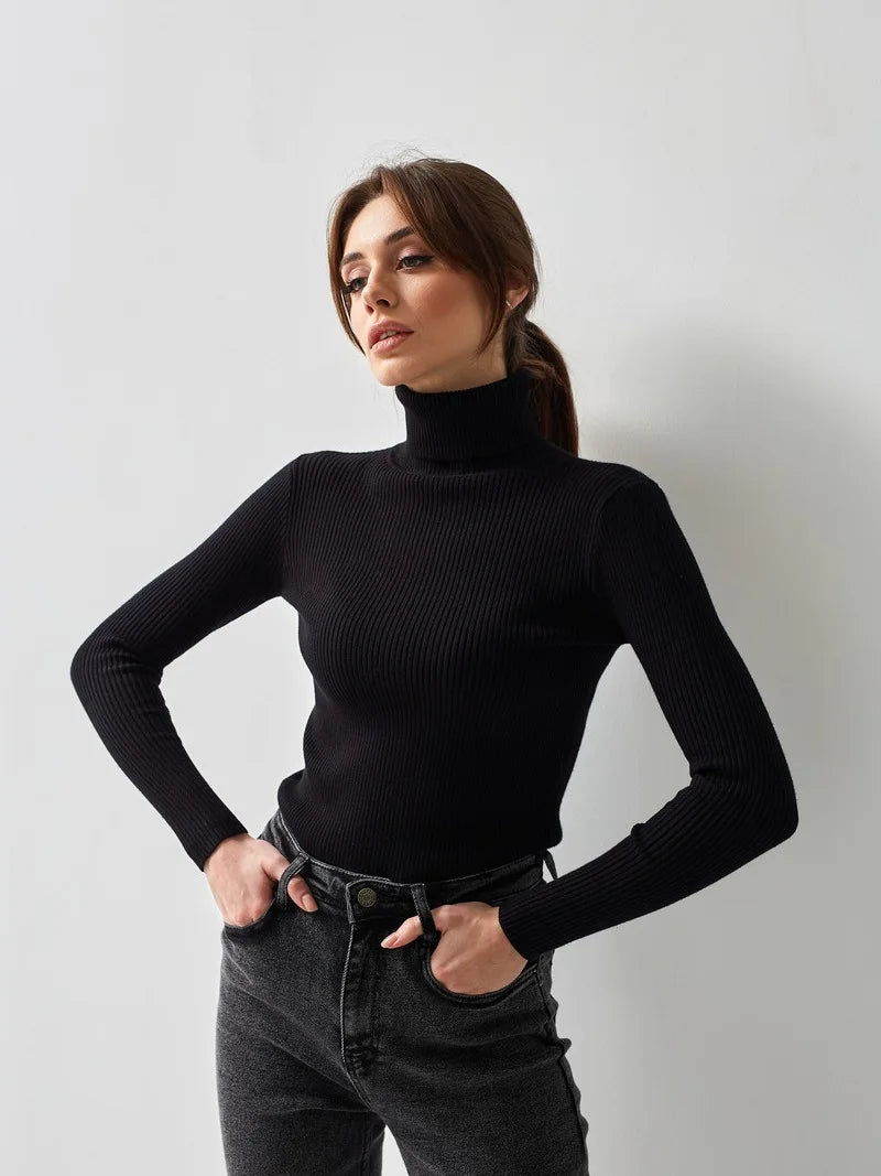 Slim Fit Turtleneck Sweater